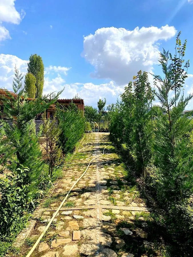 Blerina Farm House Ljaknasi