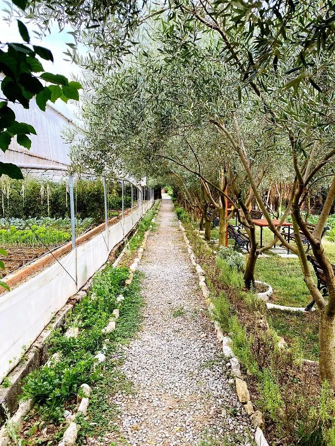 Blerina Farm House Ljaknasi 0*,  Albanien